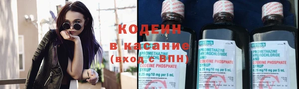 гашик Алексин