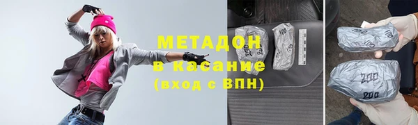 гашик Алексин