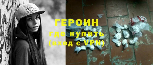 гашик Алексин
